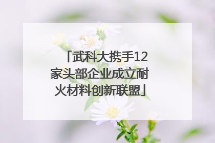 武科大携手12家头部企业成立耐火材料创新联盟