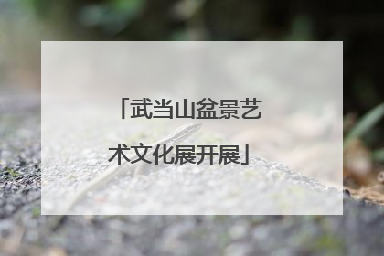 武当山盆景艺术文化展开展