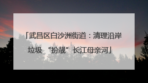 武昌区白沙洲街道：清理沿岸垃圾 “扮靓”长江母亲河