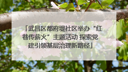 武昌区都府堤社区举办“红巷传薪火”主题活动 探索党建引领基层治理新路径