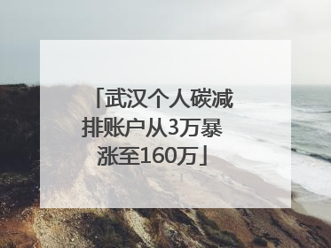 武汉个人碳减排账户从3万暴涨至160万
