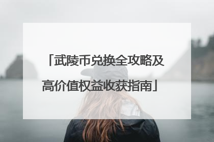武陵币兑换全攻略及高价值权益收获指南