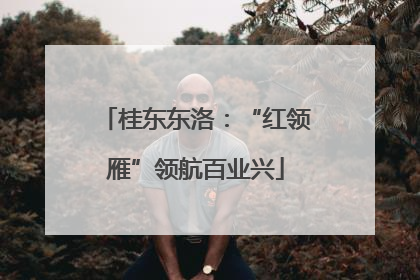 桂东东洛：“红领雁”领航百业兴