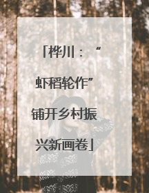 桦川：“虾稻轮作”铺开乡村振兴新画卷