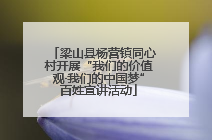 梁山县杨营镇同心村开展“我们的价值观·我们的中国梦”百姓宣讲活动
