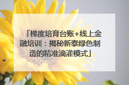 梯度培育台账+线上金融培训：揭秘新泰绿色制造的精准滴灌模式