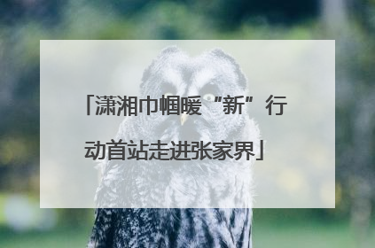 潇湘巾帼暖“新”行动首站走进张家界