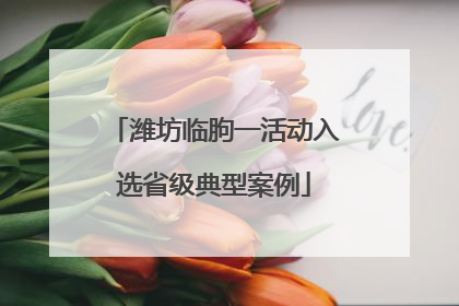 潍坊临朐一活动入选省级典型案例