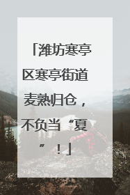 潍坊寒亭区寒亭街道麦熟归仓，不负当“夏”！