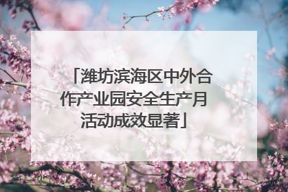 潍坊滨海区中外合作产业园安全生产月活动成效显著