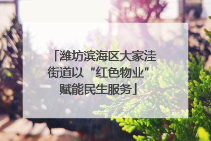 潍坊滨海区大家洼街道以“红色物业”赋能民生服务