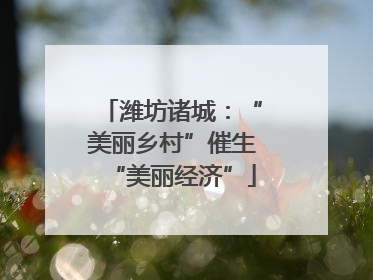 潍坊诸城：“美丽乡村”催生“美丽经济”