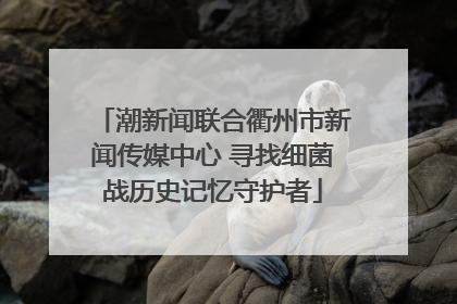 潮新闻联合衢州市新闻传媒中心 寻找细菌战历史记忆守护者