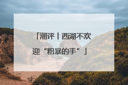 潮评丨西湖不欢迎“粗暴的手”