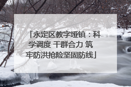 永定区教字垭镇：科学调度 干群合力 筑牢防洪抢险坚固防线