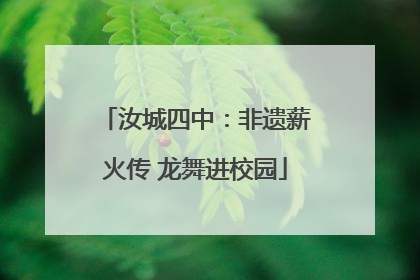汝城四中：非遗薪火传 龙舞进校园