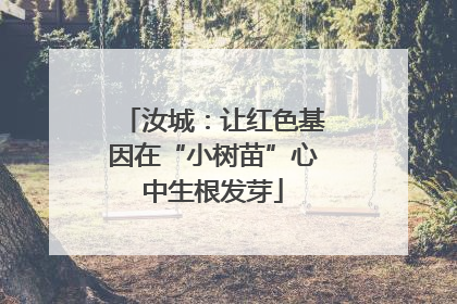汝城：让红色基因在“小树苗”心中生根发芽