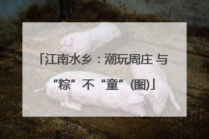 江南水乡：潮玩周庄 与“粽”不“童”(图)