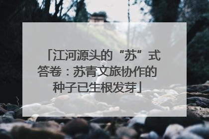 江河源头的“苏”式答卷：苏青文旅协作的种子已生根发芽