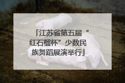 江苏省第五届“红石榴杯”少数民族舞蹈展演举行