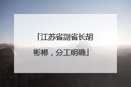 江苏省副省长胡彬郴，分工明确