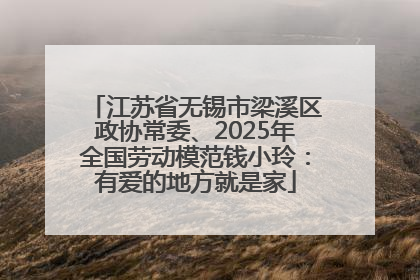 江苏省无锡市梁溪区政协常委、2025年全国劳动模范钱小玲：有爱的地方就是家