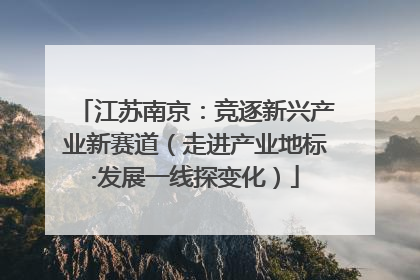 江苏南京：竞逐新兴产业新赛道（走进产业地标·发展一线探变化）