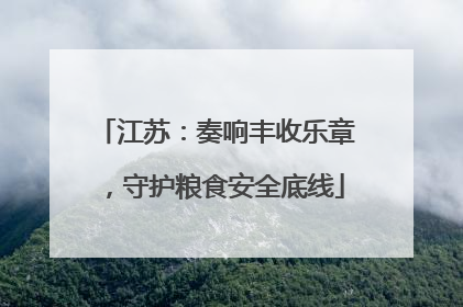 江苏：奏响丰收乐章，守护粮食安全底线