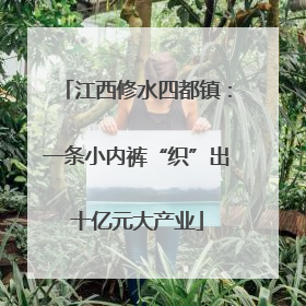 江西修水四都镇：一条小内裤“织”出十亿元大产业