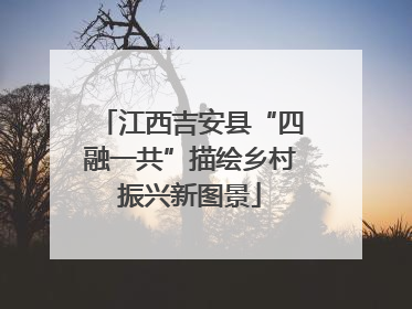 江西吉安县“四融一共”描绘乡村振兴新图景