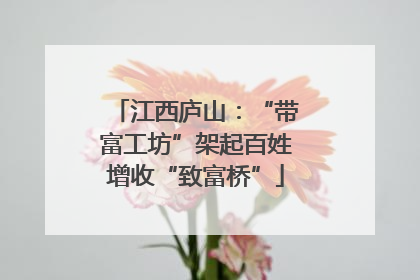 江西庐山：“带富工坊”架起百姓增收“致富桥”