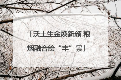 沃土生金焕新颜 粮烟融合绘“丰”景