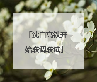 沈白高铁开始联调联试