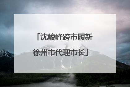 沈峻峰跨市履新徐州市代理市长