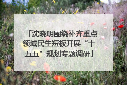 沈晓明围绕补齐重点领域民生短板开展“十五五”规划专题调研