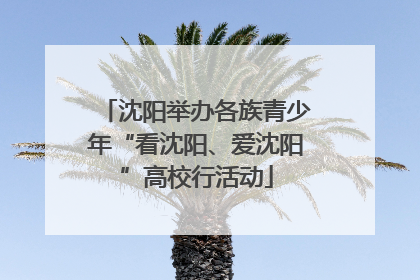 沈阳举办各族青少年“看沈阳、爱沈阳”高校行活动