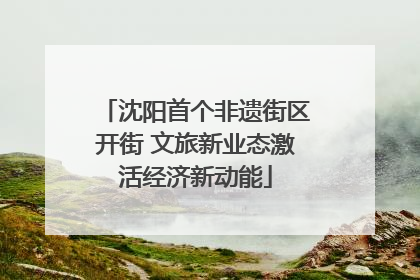 沈阳首个非遗街区开街 文旅新业态激活经济新动能