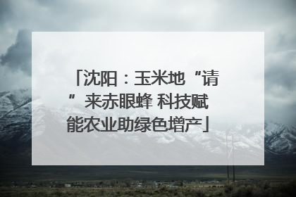 沈阳：玉米地“请”来赤眼蜂 科技赋能农业助绿色增产