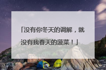 没有你冬天的调解，就没有我春天的菠菜！