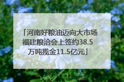 河南好粮油迈向大市场 福建粮洽会上签约38.5万吨揽金11.5亿元