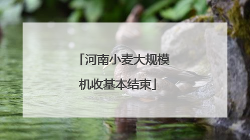 河南小麦大规模机收基本结束