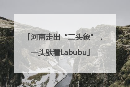 河南走出“三头象”，一头驮着Labubu