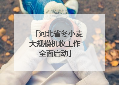 河北省冬小麦大规模机收工作全面启动