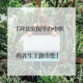 河北安国举办中医药养生主题市集