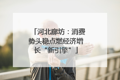 河北廊坊：消费势头稳点燃经济增长“新引擎”