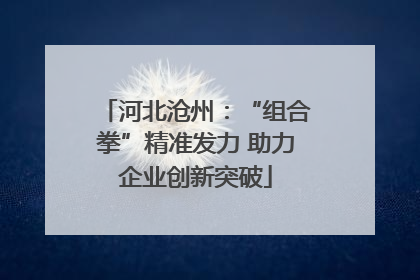 河北沧州：“组合拳”精准发力 助力企业创新突破