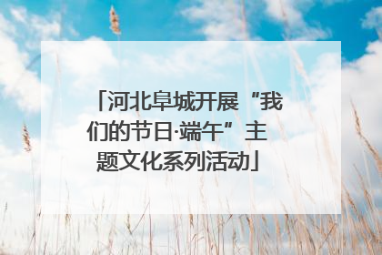 河北阜城开展“我们的节日·端午”主题文化系列活动