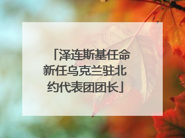 泽连斯基任命新任乌克兰驻北约代表团团长
