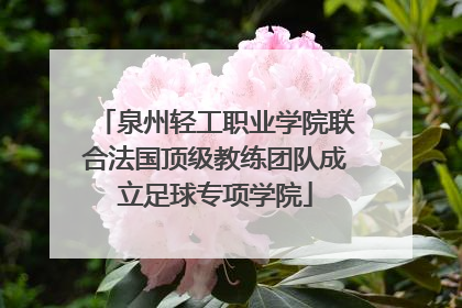 泉州轻工职业学院联合法国顶级教练团队成立足球专项学院