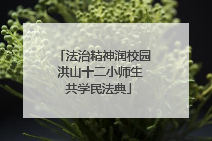 法治精神润校园 洪山十二小师生共学民法典